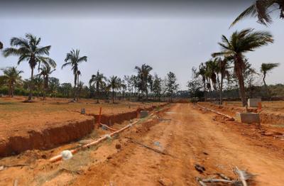Project Image of 807.0 - 2400.0 Sq.ft Residential Plot Plot for buy in Century Greens