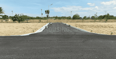 Project Images