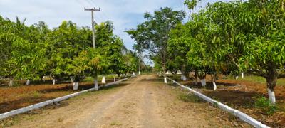 Sharewin Jai Garden Internal Roads & Footpaths 2