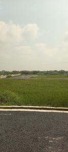 Project Image of 600.0 - 2400.0 Sq.ft Residential Plot Plot for buy in Royal Temple City
