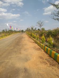 Project Images