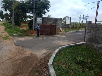 Project Image of 1200.0 - 3500.0 Sq.ft Residential Plot Plot for buy in Flamingo Royal Splendor
