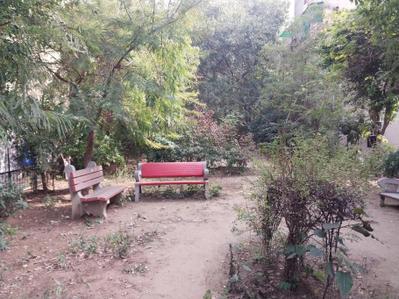 Project Image of 750 Sq.ft 1.5 BHK Apartment / Flat for sale in Sector 14 Dwarka for Rs. 9000000