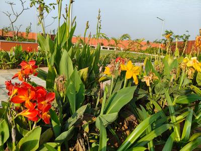 Project Image of 915.0 - 3566.0 Sq.ft Residential Plot Plot for buy in KG Kingdom Of Joy