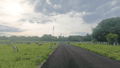 Project Images