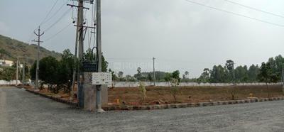 Project Image of 809.98 - 2600.02 Sq.ft Residential Plot Plot for buy in Siri Venkateswara Nandanavanam Prasiddha