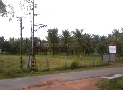 Project Image of 1200.0 - 2400.0 Sq.ft Residential Plot Plot for buy in KT Samruddhi Farm Plots