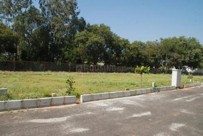 Project Image of 801.0 - 1845.0 Sq.ft Residential Plot Plot for buy in S And S Sree Sai Nest Phase 2