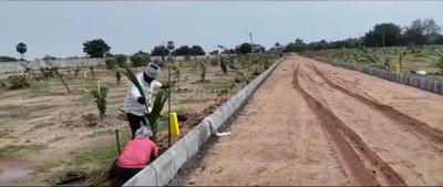 Project Image of 1800.0 - 3267.0 Sq.ft Residential Plot Plot for buy in Yadadri Sunrise County