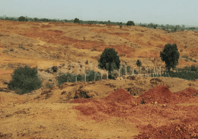 Project Image of 26499.46 - 91580.53 Sq.ft Residential Plot Plot for buy in Shantinagar 4