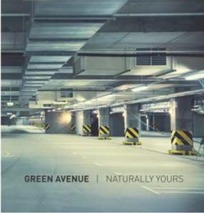 Project Image of 390.0 - 2350.0 Sq.ft 1 BHK Apartment for buy in Airwil Green Avenue