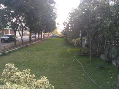 Project Image of 635.0 - 1520.0 Sq.ft 1 BHK Apartment for buy in Radiant Red Wood