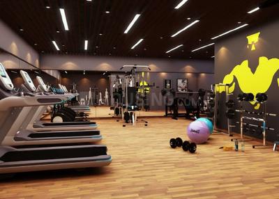 Concorde Elements Of Earth Gymnasium 1