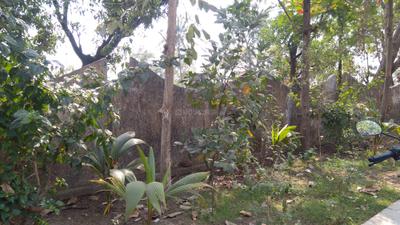 Project Image of 552.0 - 965.0 Sq.ft 1 BHK Apartment for buy in Space India Kartikya Park 2