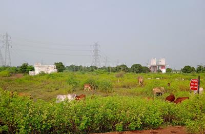 Project Image of 1000.0 - 1500.0 Sq.ft Residential Plot Plot for buy in Singhania Harshit Icon City