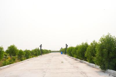 Project Image of 1645.05 - 7144.76 Sq.ft Residential Plot Plot for buy in Evergreens Kohinoor