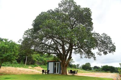 Project Image of 1200.0 - 4030.0 Sq.ft Residential Plot Plot for buy in Landmark Under The Tree Phase 1