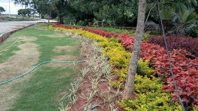 Project Image of 1108.0 - 2400.0 Sq.ft Residential Plot Plot for buy in Shriram Godhuli
