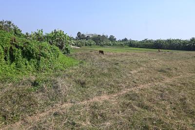 Project Image of 720.0 - 2160.0 Sq.ft Residential Plot Plot for buy in Twinrock Sharnabhumi