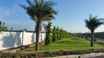 Project Image of 1200.0 - 2400.0 Sq.ft Residential Plot Plot for buy in Green Enclave