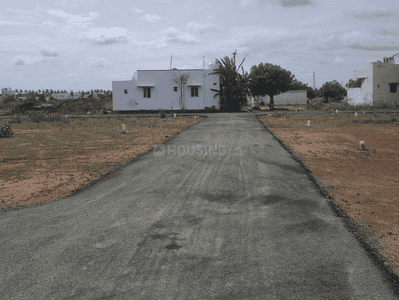 Project Images