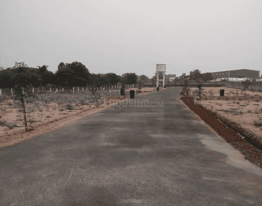 Project Images