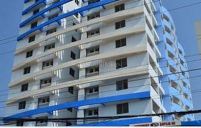 Confident Antlia III Elevation 1