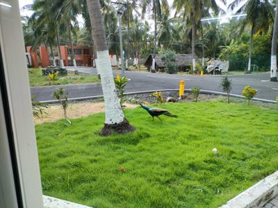 Project Image of 2400.0 - 9600.0 Sq.ft Residential Plot Plot for buy in Lereve