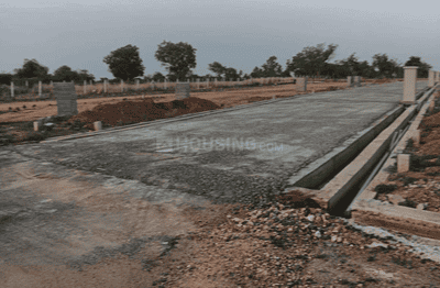 Project Images