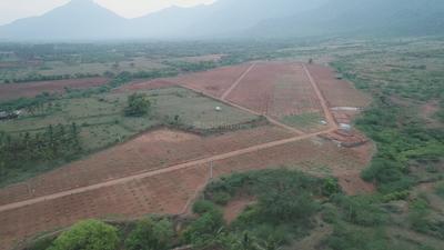 Project Image of 1000.0 - 15681.0 Sq.ft Residential Plot Plot for buy in Chettinad Farms