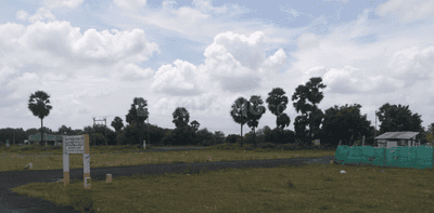 Project Images