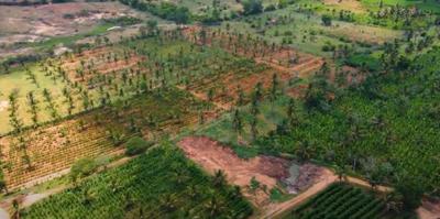Project Image of 6000.0 - 44000.0 Sq.ft Residential Plot Plot for buy in Ayush Green Farms
