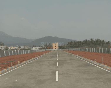 Project Images