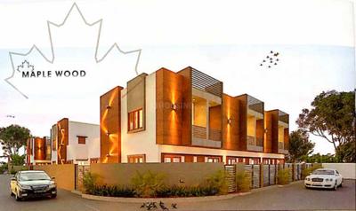 Maple Wood Elevation 1