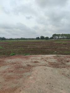 Project Image of 1442.36 - 6964.25 Sq.ft Residential Plot Plot for buy in Rajabhoomi Aananda