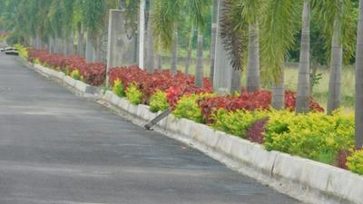 Project Image of 1548.0 - 1818.0 Sq.ft Residential Plot Plot for buy in Sunsiri Green Delight City