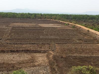 Project Image of 1000.0 - 10000.0 Sq.ft Residential Plot Plot for buy in Farm N Land Ranjanpada