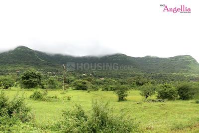 Project Image of 3228.0 - 5000.0 Sq.ft Residential Plot Plot for buy in FDCC Angellia