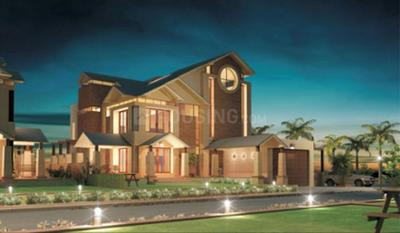 Project Images