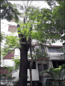 Project Image of 590.0 - 930.0 Sq.ft 1 BHK Apartment for buy in Runwal Sandeep Terrace