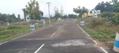 Project Images