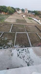 Project Image of 800.0 - 2000.0 Sq.ft Residential Plot Plot for buy in Dev Saundaryam