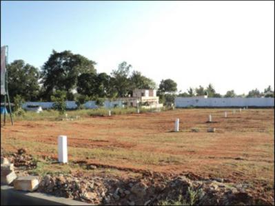 Project Image of 1200.0 - 2400.0 Sq.ft Residential Plot Plot for buy in Confident Indus