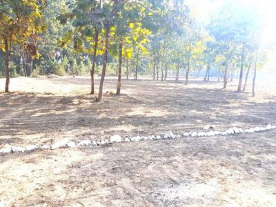 Project Image of 1350.01 - 4499.96 Sq.ft Residential Plot Plot for buy in Ocean Empire Estate