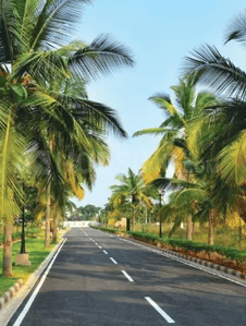 Project Image of 922.57 - 2895.92 Sq.ft Residential Plot Plot for buy in Chartered Gulmohar