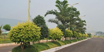 Project Image of 819.56 - 3232.62 Sq.ft Residential Plot Plot for buy in Chilukuri Brundavan Estates Phase X