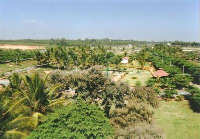 Project Image of 3300.0 - 3510.0 Sq.ft Residential Plot Plot for buy in Celebrity Lakeview
