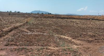 Plot Wale Dronagiri Plot 2