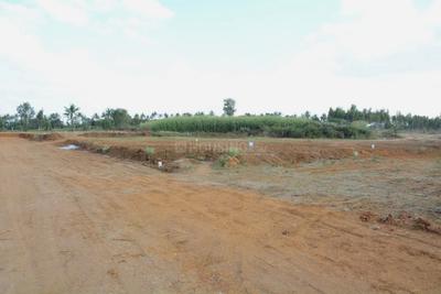 Project Image of 1200.0 - 4000.0 Sq.ft Residential Plot Plot for buy in Golden Serenity
