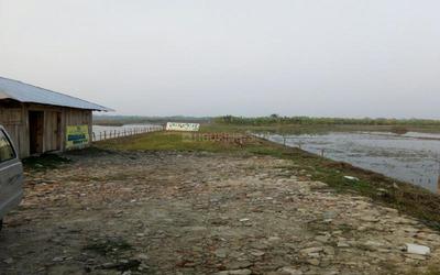 Project Image of 1440.0 - 2160.0 Sq.ft Residential Plot Plot for buy in Naskar Green World